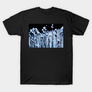 Snow Caps T-Shirt